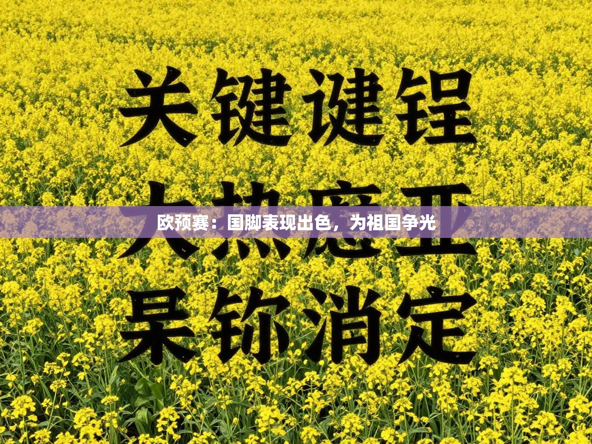欧预赛：国脚表现出色，为祖国争光